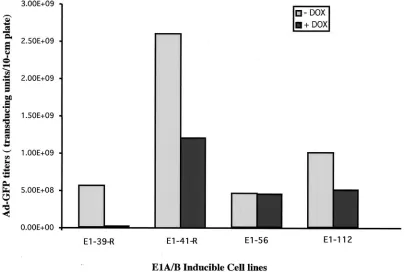 TABLE 1. Ad-GFP vector yields in E1A-E1B HeLa-tet-off cellsafter serial passages