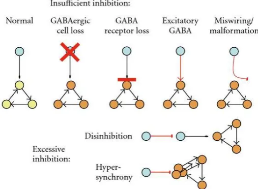 FIGURE 2: GABA in epileptogenesis 