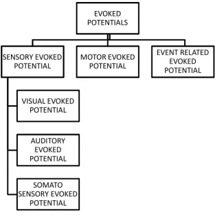 FIGURE 3:  Classification of evoked potentials 