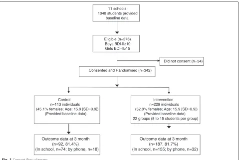Fig. 1 Consort flow diagram