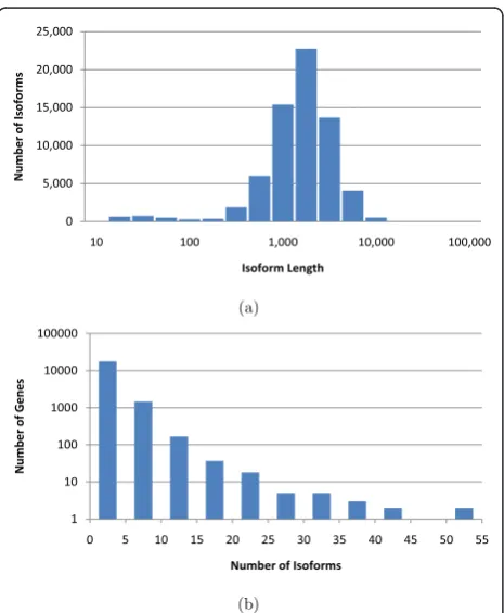 Figure 5 Distribution of isoform lengths (a) and gene clustersizes (b) in the UCSC dataset.