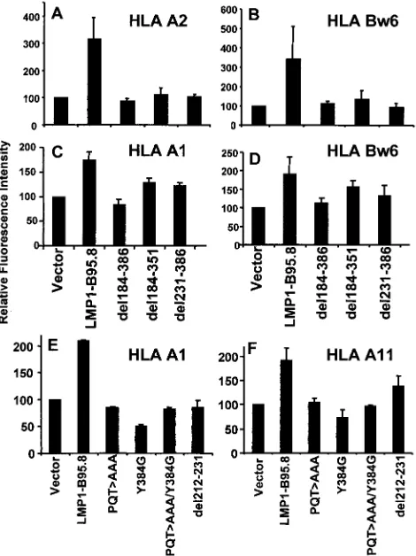 FIG. 3. Role of CTARs in regulating LMP1-mediated up-regula-tion of surface HLA class I expression on BL cells