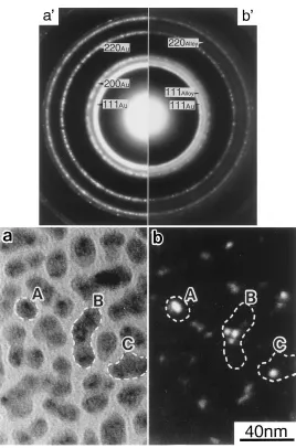 Fig. 3Formation of embryos at the center region of Au-atom clusters. Micrographs (a) and (b) are a bright ﬁeld image and a dark ﬁeld onetaken with {111} reﬂection of Au-atom clusters