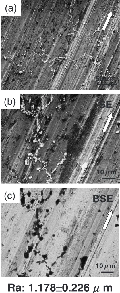 Fig. 7SEM micrographs of the wear scar of the disc under argon bubblingconditions.