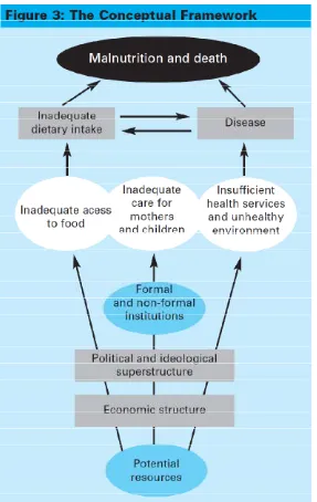 Fig 2.UNICEF conceptual framework of the causes of malnutrition 