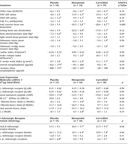 Table 2.Changes in measured parameters by treatment group (�SEM), subjects who had complete mRNA or �-adrenergic receptor measurements (n � 47)