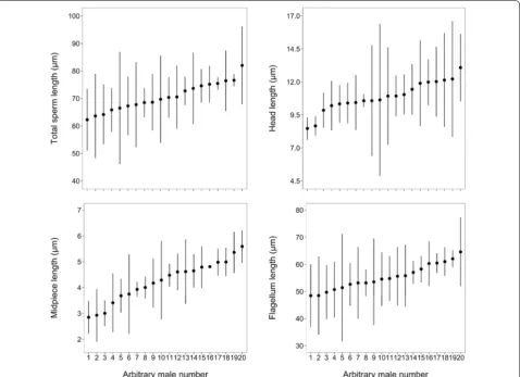 Fig. 4 Within‑ and between‑male variance in sperm morphological traits based on 7–16 sperm cells (mean ± SE: 10.1 ± 0.5) for each of 20 males
