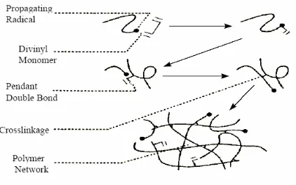 Figure 2.3. Schematic representation of free-radical crosslinking mechanism.
