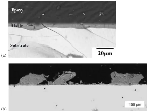 Fig. 7SEM backscatter images of a near surface region of a Ca55-Mg15Al10Zn15Cu5 amorphous sample after corrosion in distilled waterfor 2100 hours
