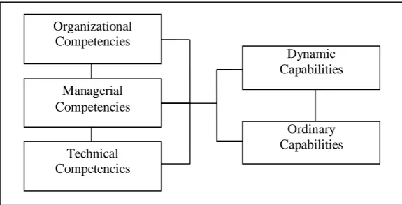 Figure 1. Core Competencies and Capabilities’ Levels.  