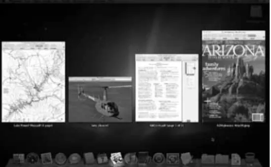 Figure 12 Pressing 0 displays all of the windows in  the currently active application—in this case, Preview.