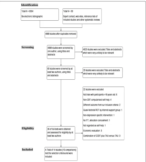 Figure 1 Process of study selection: PRISMA flow diagram.