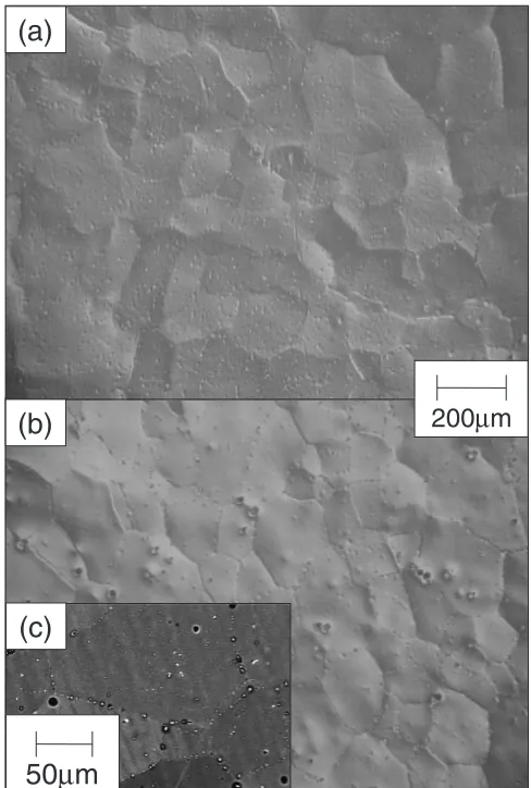 Fig. 1Optical micrographs and backscattered electron micrograph beforecompression. (a) shows the microstructure of Al-3Mg
