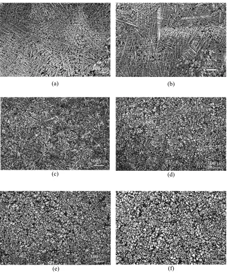 Fig. 1. As-cast microstructures: (a) very large grain structure produced by quench casting; (b)  coarse structure from high-temperature-pouring (725°C);  (c) medium structure from medium-temperature-pouring (675°C), and fine-grained structures of dendritic