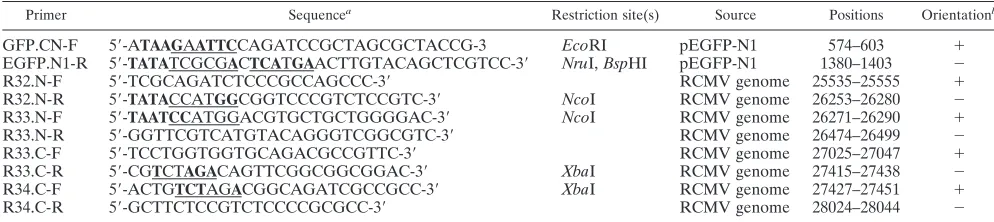 TABLE 1. PCR primers used in this study