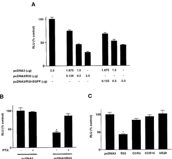 FIG. 3. pR33-mediated inhibition of forskolin-induced, CRE-driven luciferase expression