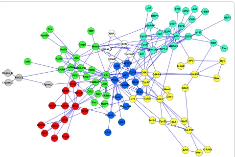 Figure 2 Network representation of the p53 protein interactions. Modules, as detected through iMod, are indicated by colour.