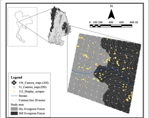 Fig. 1 Location of 156 camera trap sampling and display scrape searching in 1200 m × 1200 m at Huai Kha Khaeng Wildlife Sanctuary, Uthai Thani, Thailand