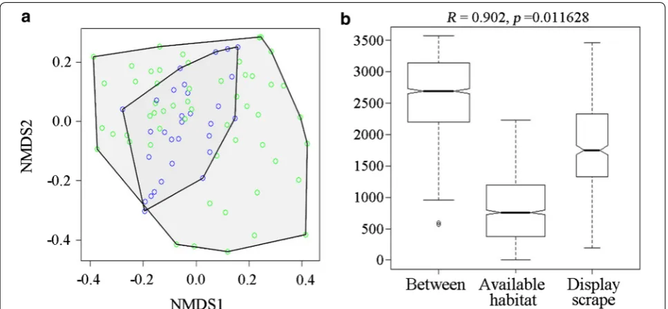 Fig. 3 Ordination graph for a two dimensional scale (NMDS) animal species composition on display scrape and available habitat: blue circle = scrape display, green circle = available habitat by (a); boxplot dissimilarity distance of animal species composition within and between display scrape and available habitat on the Bray–Curtis distance by (b)