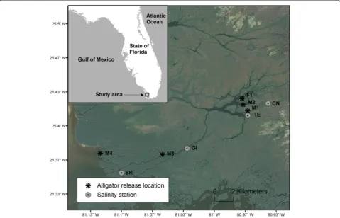 Table 1 Summary of satellite-tracked American alligators (Alligator mississippiensis), including tracking period, sex,total length (TL), snout vent length (SVL), and weight, in Shark River estuary in Everglades National Park, Florida