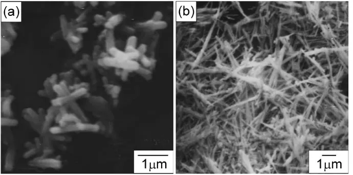 Fig. 2SEM micrographs of HAp (a) and DAp (b) elemental powders.
