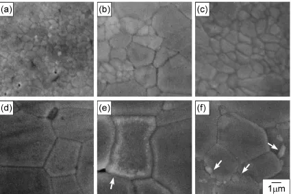 Fig. 5SEM micrographs of HAp (a), (d), HAp/DAp (b), (e) and DAp (c), (f) samples hot-forged at 30 MPa