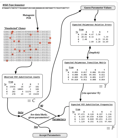 Figure 6 Inferring Polymerase Errors from Misincorporation Countscompatibility of the given parameters with the observed data, as described under