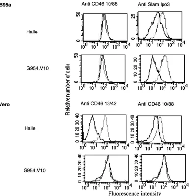 FIG. 2. Flow cytometry analysis of the cell surface expression of CD46 and SLAM in MV infection