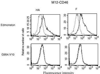 FIG. 4. Comparison of MV G954.V10 growth cycles in Vero andVero-SLAM cells. Vero and Vero-SLAM cells were infected with