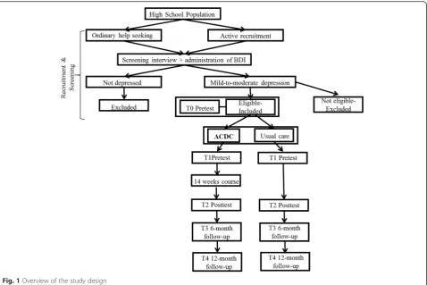 Fig. 1 Overview of the study design