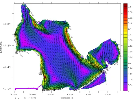 Figure 7.  Barotropic currents and velocity modulus for N-NW wind of 80 km/h.  3 