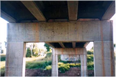 Figure 1.1: Tenthill Creek Bridge Headstock Configuration 