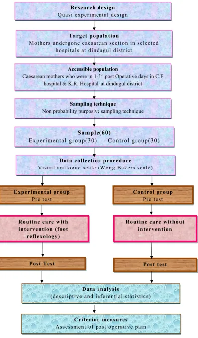 Figure:2 Schematic representation of the research methodology  