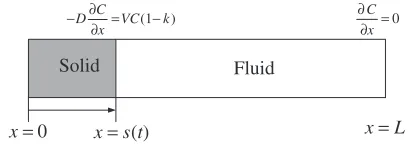 Fig. 1One-dimensional solidiﬁcation model for the solute diﬀusion.
