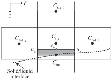 Fig. 12Control volume of Cint on solid/liquid interface.