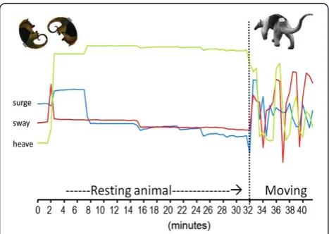 Figure 6 Heave-axis acceleration waveforms of three behaviorsof the Swallow-tailed gull (Creagrus furcatus)