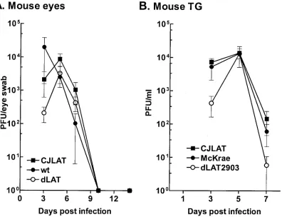 FIG. 7. Replication of CJLAT in mouse eyes and TG. Mice were ocularly infected as described in Materials and Methods