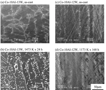 Figure 1 shows the microstructure of the alloys annealed at