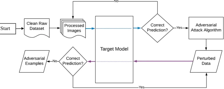 Figure 2: The adversarial examples generation process 