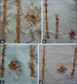 Table 2: Effect of A. americana Linn. leaf extract 