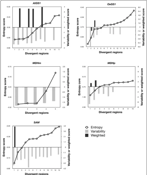 Figure 5 Distribution of score values of the divergent regions using the three scoring methodsWeighting (Entropy, Variability or) in the five protein MSAs, obtained with M-Coffee.