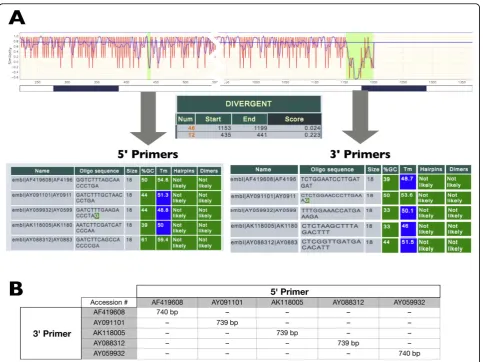 Figure 6 Use of AlignMiner for designing several specific primer pairs for PCR amplification of the different isoforms of the AtGS1nucleotide sequence (A) The 5’ and 3’ divergent regions obtained with Entropy that were selected for primer design including 