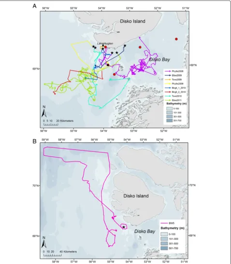 Figure 1 Study area with tracklines of whales. (A) Bathymetric chart of Disko Bay with tracks of the tagged bowhead whales