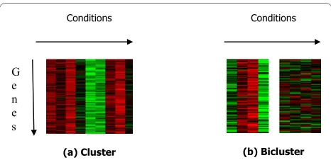 Figure 1 Illustrating difference between clustering and bicluster-ingdifference between clustering and biclustering (a) a cluster of genes, genes are co-expressed across most conditions; (b) a bicluster of genes, genes are co-expressed only on a subset of 