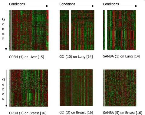 Figure 3 Different types of co-expression. Heatmaps (red for induc-tion and green for repression, genes are indicated in rows and condi-tions are shown in columns) illustrating 3 types of co-expression: (1) T-type, gene effects only; (2) B-type, condition effects only; and, (3) μ-type, gene and condition effects.