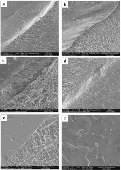 Fig. 9Scanning electron micrographs of fractured surface due to adiabatic shearing for Ti alloy deformed at 8 � 103 s�1 undertemperatures of (a) 25�C; (b) 300�C; (c) 500�C; (d) 700�C; (e) 900�C; (f) splats and knobbles within adiabatic shear band of Fig