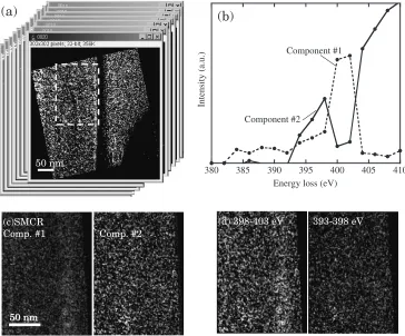 Fig. 5(a) Data set for SMCR processing. Each image corresponds to an EF-TEM image recorded at a single slit position, from which thepre-edge background is subtracted