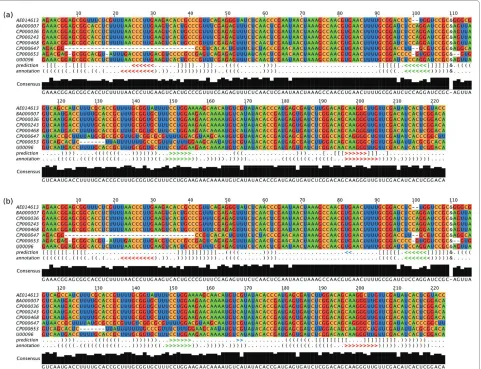Figure 4 Joint secondary structure prediction of the sRNA OxyS and its target mRNA fhlA