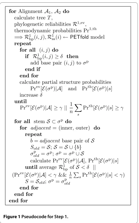 Figure 1 Pseudocode for Step 1.