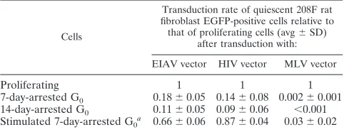 TABLE 1. Average levels of transduction (n � 3) of proliferating or G1 or G2 growth-arrested human cell lineswith EIAV, HIV, and MLV vectors